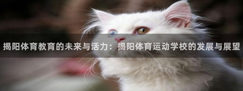 揭阳体育教育的未来与活力：揭阳体育运动学校的发展与展望