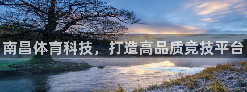 南昌体育科技，打造高品质竞技平台