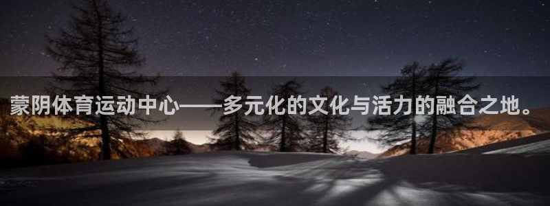 蒙阴体育运动中心——多元化的文化与活力的融合之地。