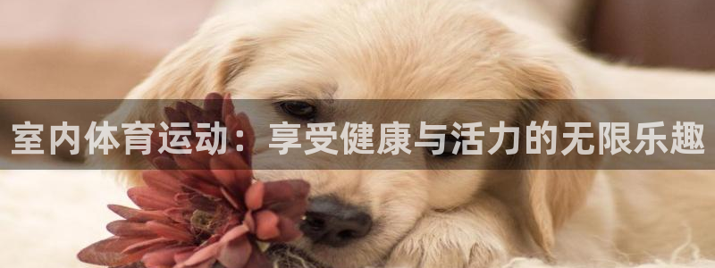室内体育运动：享受健康与活力的无限乐趣