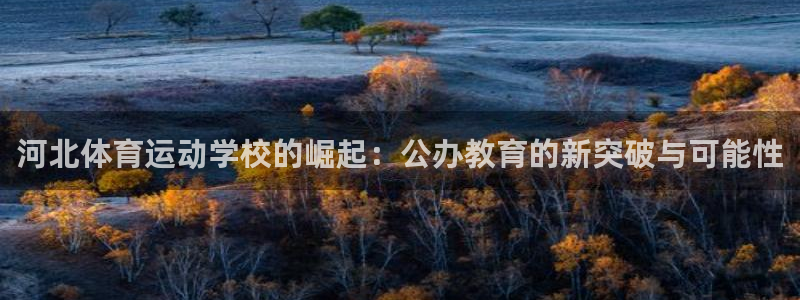 河北体育运动学校的崛起：公办教育的新突破与可能性