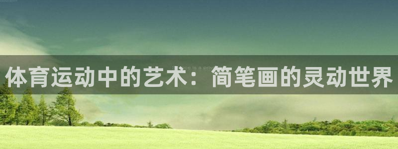 体育运动中的艺术：简笔画的灵动世界