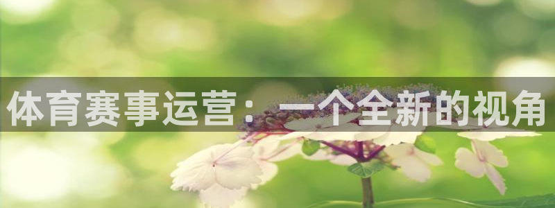 体育赛事运营：一个全新的视角