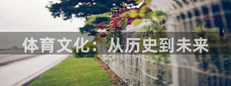 体育文化：从历史到未来