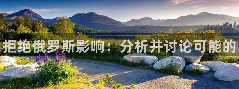 拒绝俄罗斯影响：分析并讨论可能的