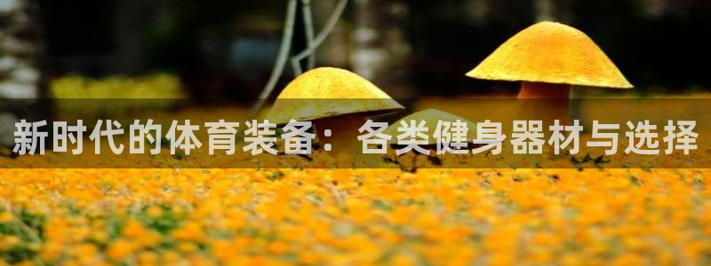 新时代的体育装备：各类健身器材与选择