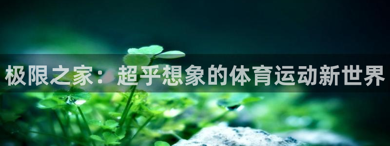 极限之家：超乎想象的体育运动新世界