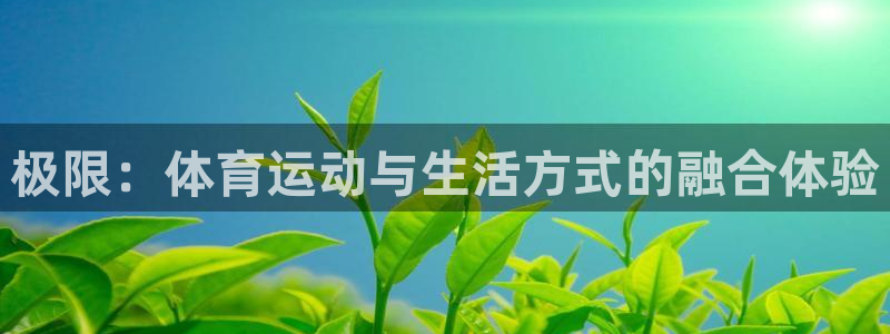 极限：体育运动与生活方式的融合体验