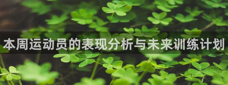 本周运动员的表现分析与未来训练计划