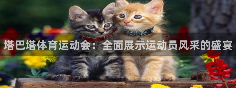 塔巴塔体育运动会：全面展示运动员风采的盛宴