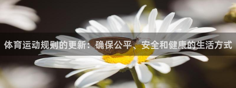 体育运动规则的更新：确保公平、安全和健康的生活方式