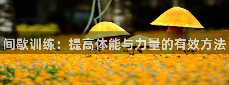 间歇训练：提高体能与力量的有效方法