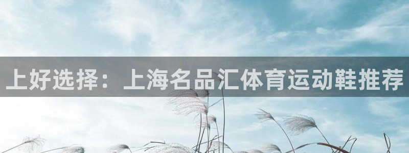上好选择：上海名品汇体育运动鞋推荐