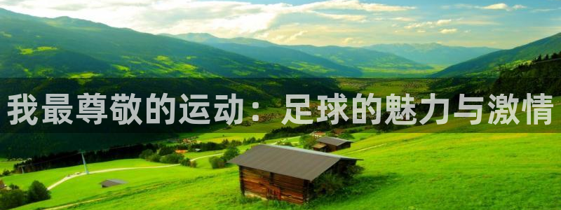 我最尊敬的运动：足球的魅力与激情