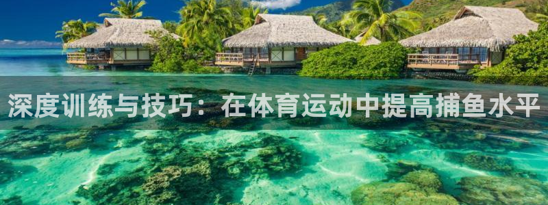 深度训练与技巧：在体育运动中提高捕鱼水平