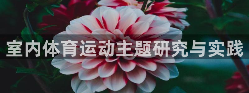 室内体育运动主题研究与实践