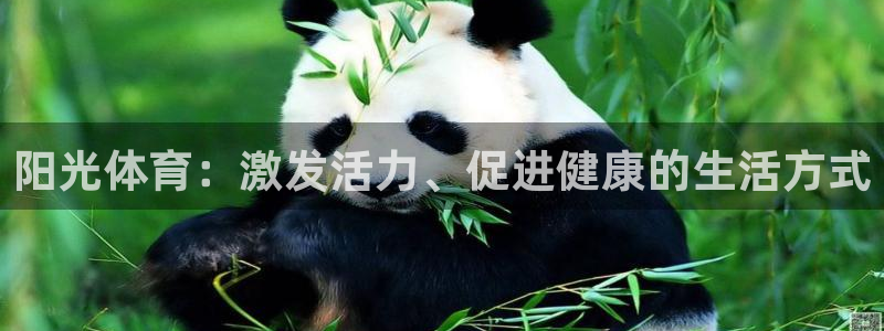 阳光体育：激发活力、促进健康的生活方式
