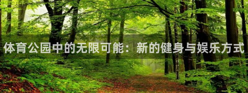 体育公园中的无限可能：新的健身与娱乐方式