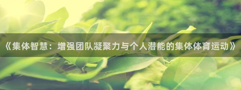 《集体智慧：增强团队凝聚力与个人潜能的集体体育运动》