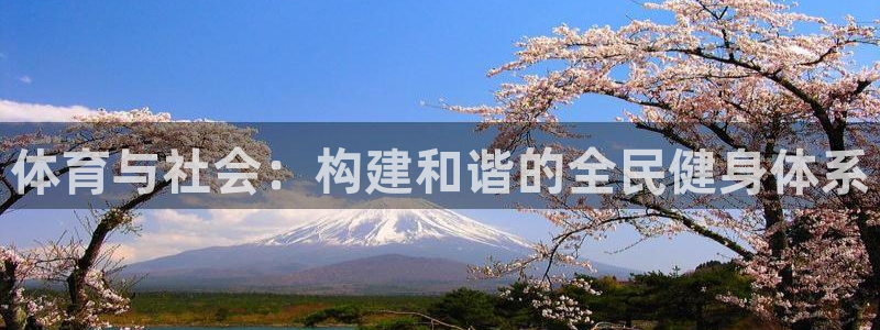 体育与社会：构建和谐的全民健身体系