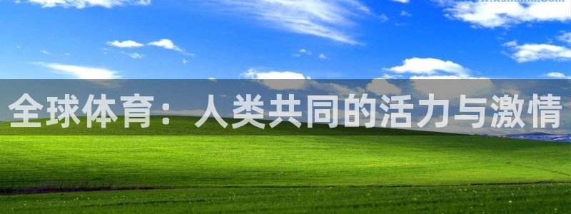 全球体育：人类共同的活力与激情