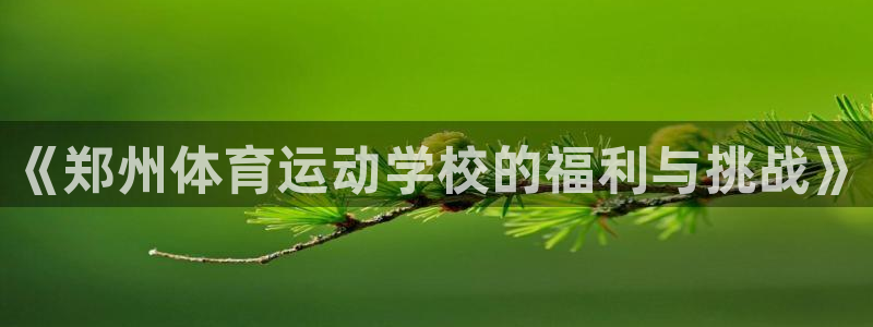 《郑州体育运动学校的福利与挑战》