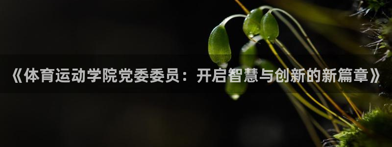 《体育运动学院党委委员：开启智慧与创新的新篇章》