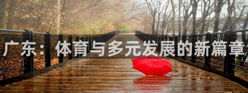 广东：体育与多元发展的新篇章