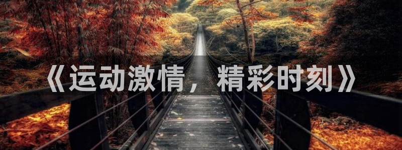 《运动激情，精彩时刻》
