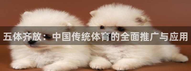 五体齐放：中国传统体育的全面推广与应用