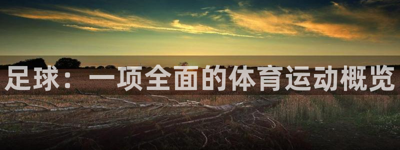 足球：一项全面的体育运动概览