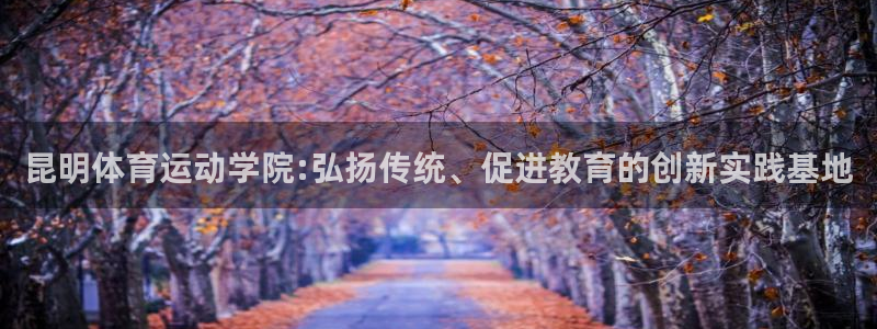 昆明体育运动学院:弘扬传统、促进教育的创新实践基地