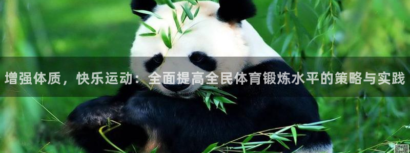 增强体质，快乐运动：全面提高全民体育锻炼水平的策略与实践
