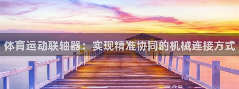 体育运动联轴器：实现精准协同的机械连接方式