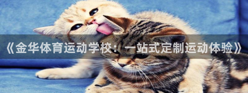 《金华体育运动学校：一站式定制运动体验》