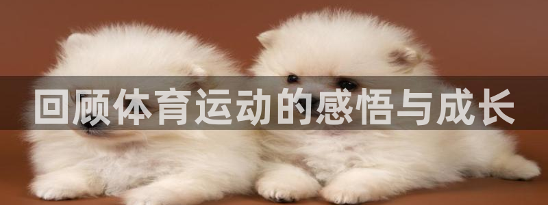 回顾体育运动的感悟与成长