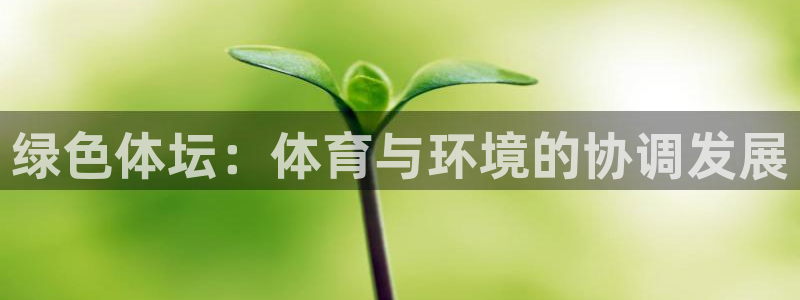 绿色体坛：体育与环境的协调发展