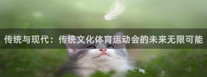 传统与现代：传统文化体育运动会的未来无限可能